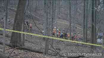 One female dead after vehicle goes over escarpment in Hamilton - CTV News Toronto