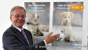Augsburg: Das Tierheim Augsburg ist ein Sanierungsfall: Wie geht es dort weiter? | Augsburger Allgemeine - Augsburger Allgemeine