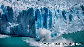 ESG: Wie Unternehmen Greenwashing vermeiden