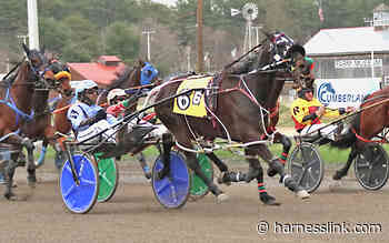 Switzer has big day at Cumberland - Harnesslink