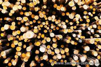 Die Nachfrage nach Holz ist in der Ortenau derzeit sehr stark - Lahr - Badische Zeitung