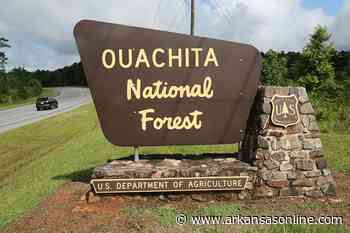 Road in Ouachita National Forest closed temporarily due to landslide - Arkansas Online