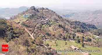 Punjab and Haryana HC seeks report on steps taken to protect forest, wildlife in Morni - Times of India