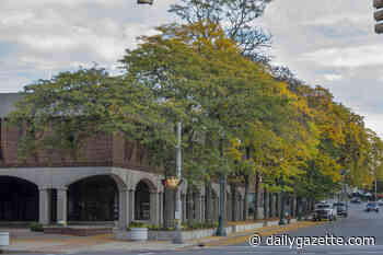 EDITORIAL: Schenectady has a forest, and it needs your input on a plan – The Daily Gazette - The Daily Gazette