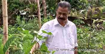 Kerala Minister shows the way to local bodies by raising Miyawaki forest - Onmanorama
