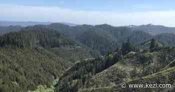 Oregon's oldest state forest will remain in public hands with compromise deal - KEZI TV