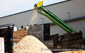 Ontario government promotes forest byproducts to generate jobs and clean energy - Canada's National Observer