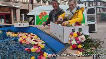Aktion in Calw - Bunter Brunnen soll Besucher anlocken - Schwarzwälder Bote