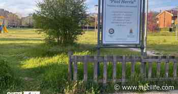“Al parco Paul Harris c'è l'erba alta: quando intervenite?” | FOTO - Rieti Life