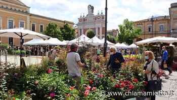 Santarcangelo di Romagna in Azione: “Balconi Fioriti occasione per far crescere la città” - Chiamamicitta - ChiamamiCittà