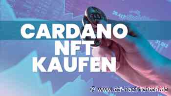 Cardano: Snoop Dogg launcht NFT-Kollektion auf Cardano - profitiert ADA jetzt vom NFT-Hype? - ETF Nachrichten
