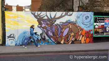 2000 Irish Artists To Get Basic Incomes