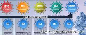Les variants et sous-variants de SRAS-CoV-2