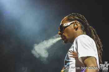 Snoop Dogg Launches NFT Collection On Cardano (ADA) - Benzinga - Benzinga