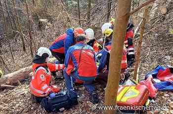 Steiler Hang erschwert die Bergung - Fränkischer Tag