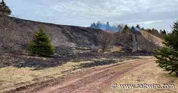 Blazing Easter: Cape Breton firefighters busy with grass fires over long weekend - Saltwire