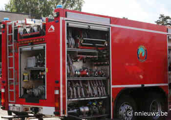 E313 : wagen brandt volledig uit aan brug Hezewijk Olen - Nnieuws.be