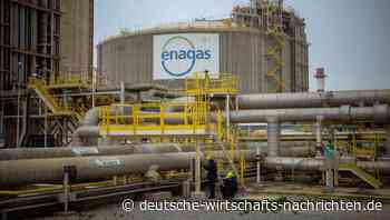 Wirtschaftsforscher: "Abwartende Haltung" der Bundesregierung bei Gaslieferstopp nachvollziehbar