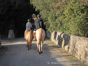 Strade di Siena, sul portale gli itinerari a cavallo - Il Cittadino on line