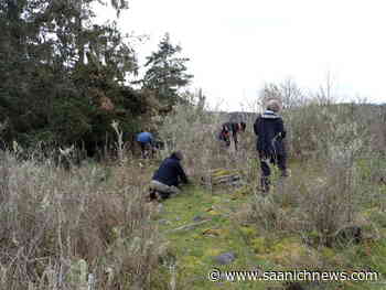 Help wanted for Broomhill park clean up in Sooke – Saanich News - Saanich News