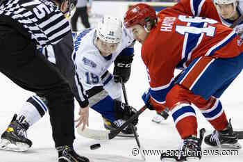 Victoria Royals miss playoffs after dropping must-win final game – Saanich News - Saanich News