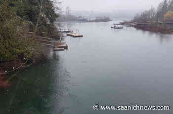 Cooler than normal Vancouver Island spring expected to continue into May – Saanich News - Saanich News