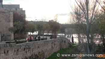 Zamora paga caro las vacaciones de Semana Santa: 5 fallecidos y 962 nuevos positivos - Zamora News