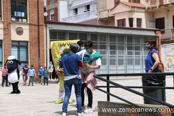 Estos son los colegios de Zamora que abren el plazo para matricular de forma gratuita a niños de 2 a 3 años - Zamora News