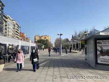 ¿Cuál es el edificio más alto de Zamora? - Zamora 24 Horas