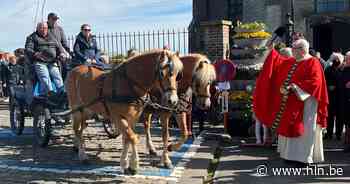 Paarden worden onder stralend zonnetje gezegend | Meise | hln.be - Het Laatste Nieuws