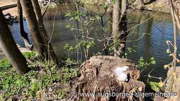 Aichach-Friedberg: Bilderrätsel: Wo hat sich der Osterhase versteckt? | Aichacher Nachrichten - Augsburger Allgemeine