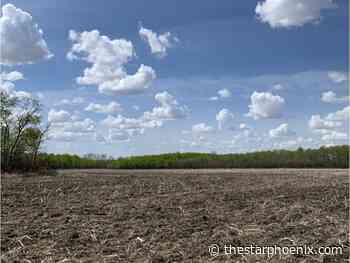 Young Innovators: U of S research helps sustain Indigenous farming
