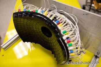 Noninvasive Sound Technology Breaks Down Tumors, Kills Cancer Cells, and Spurs the Immune System