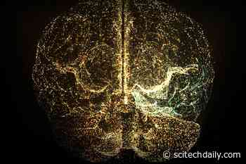 Small HDL “Good Cholesterol” Particles May Help Protect Against Alzheimer’s Disease