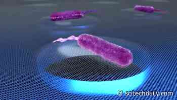 What Do Bacteria Sound Like? Bacterial Soundtracks Revealed by Nanotechnology