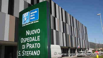 Asportata dall'utero, durante la prima metà della gravidanza, una grande massa di tre chili. Poche settimane fa il lieto evento: la giovane donna è diventata mamma - La Gazzetta di Lucca