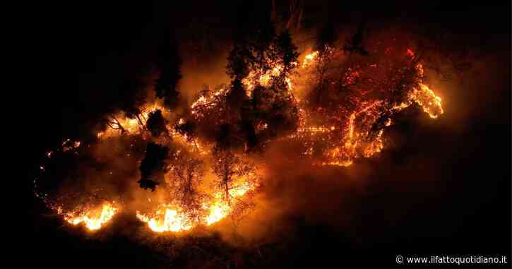Grosso incendio nella notte a Piona (Lecco), il fuoco dilaga incontrollato nelle aree boschive - Il Fatto Quotidiano