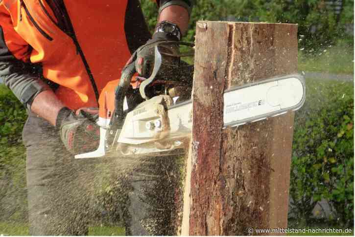 Welche Kettensäge ist die richtige?