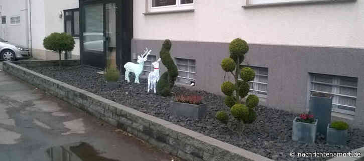 Das Grauen beginnt im Vorgarten – Problemfall Schotterwüste