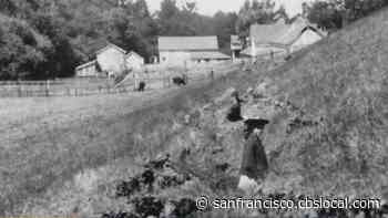 Over A Century Later, Point Reyes Trail Still Shows Where 1906 Earthquake Left Mark - CBS San Francisco