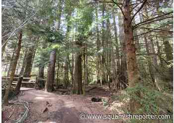 Part of Grouse Mountain trail to remain closed until June - The Squamish Reporter