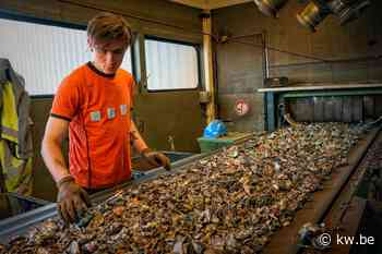 Recyclagebedrijf Galloo in Menen investeert 6 miljoen in nieuwe sorteermachine - KW.be