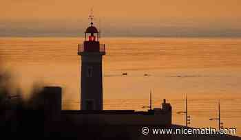 Cette vidéo magique a capturé deux dauphins saluant Saint-Tropez au coucher du soleil