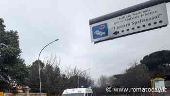 La misteriosa epatite sta colpendo i bambini in Europa, aumentato il livello d'allerta nel Lazio