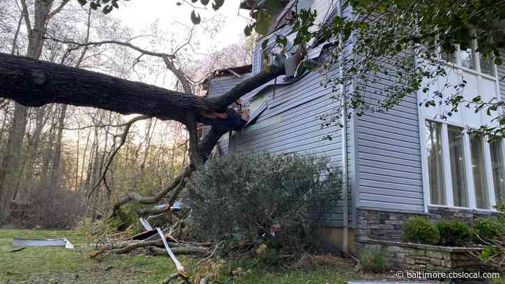 Man Killed & Woman Hospitalized After Tree Crashes Into Annapolis Home