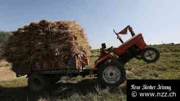 Pandemie, Ukrainekrieg und Inflation – der IMF warnt vor Wachstumsrisiken