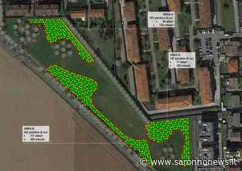 Il Comune di Solaro realizzerà un bosco urbano nell'area di Corso Berlinguer - SaronnoNews.it