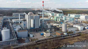 Energie aus der Uckermark: Papierhersteller Leipa aus Schwedt setzt auf Abfälle – Ein Teil kommt sogar mit dem Schiff - Märkische Onlinezeitung