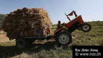 Pandemie, Ukraine-Krieg und Inflation – der IMF warnt vor Wachstumsrisiken