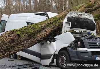 Detmold-Heiligenkirchen. Schwerverletzter durch - Radio Lippe